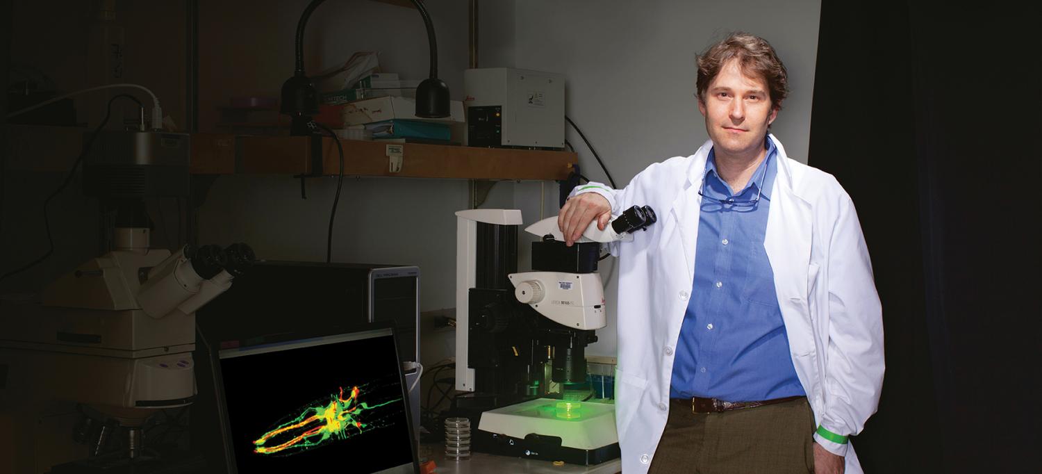 Dr. Niels Ringstad Uses Fluorescence Microscopy