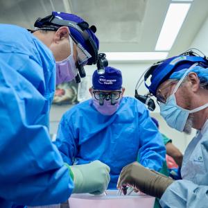 Dr. Robert Montgomery and Team Performing Xenotransplant Procedure