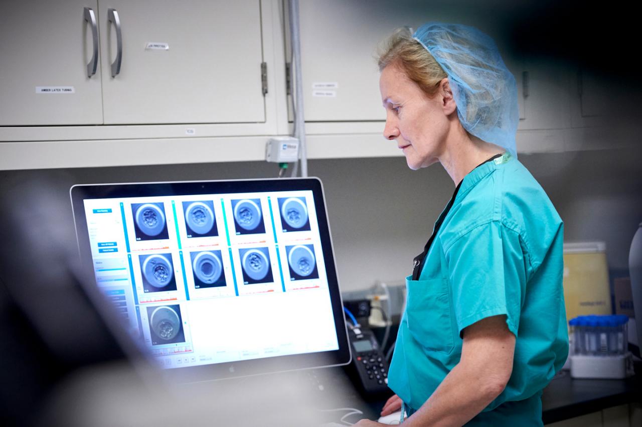 Embryologist Examines Images of Embryos