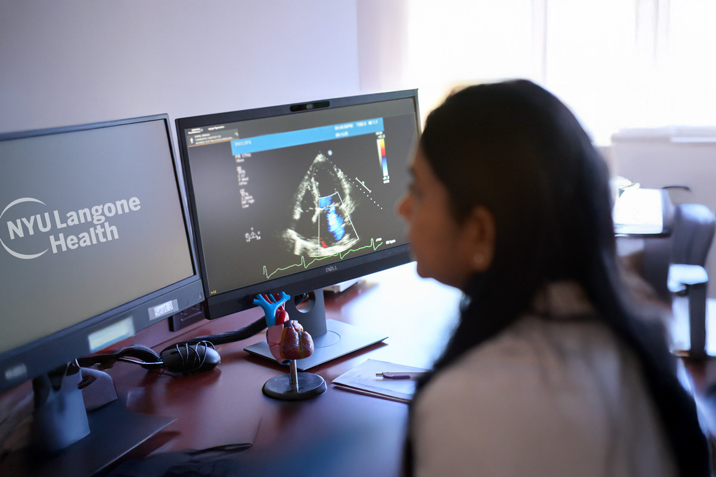 Doctor reviewing imaging scan.