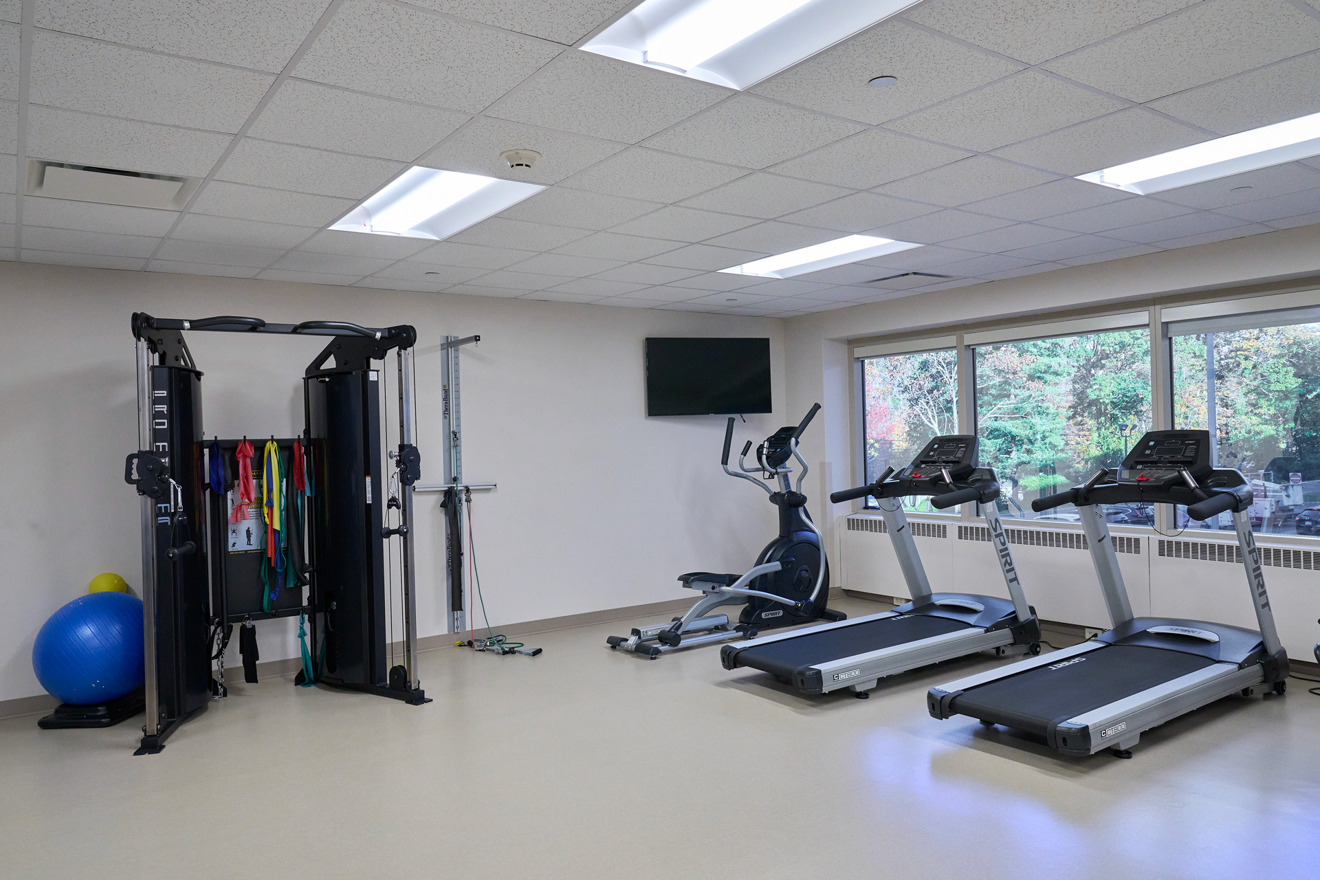 Exercise and physical therapy equipment.