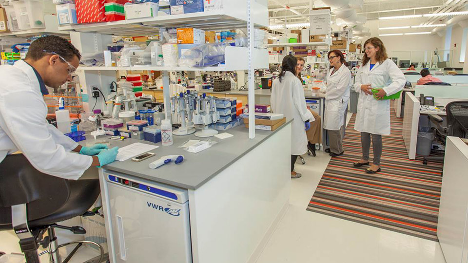 NYU Langone to Launch Center for Biotech Startups in