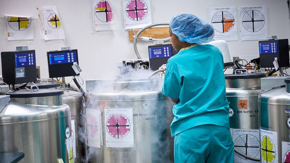 IVF with Embryo Freezing
