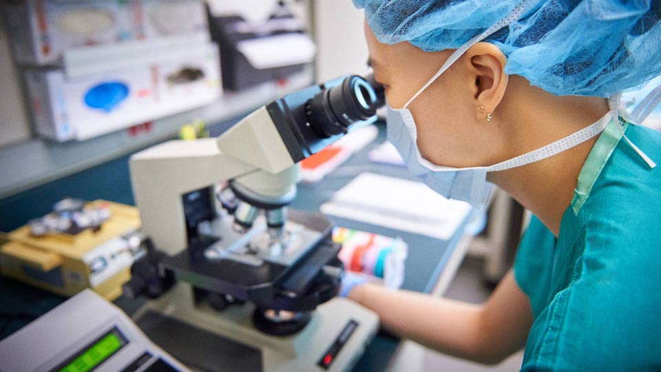 Embryologist Examines Sample Through Microscope