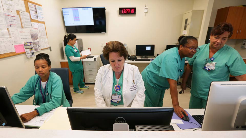Hospital Staff Work at Computers