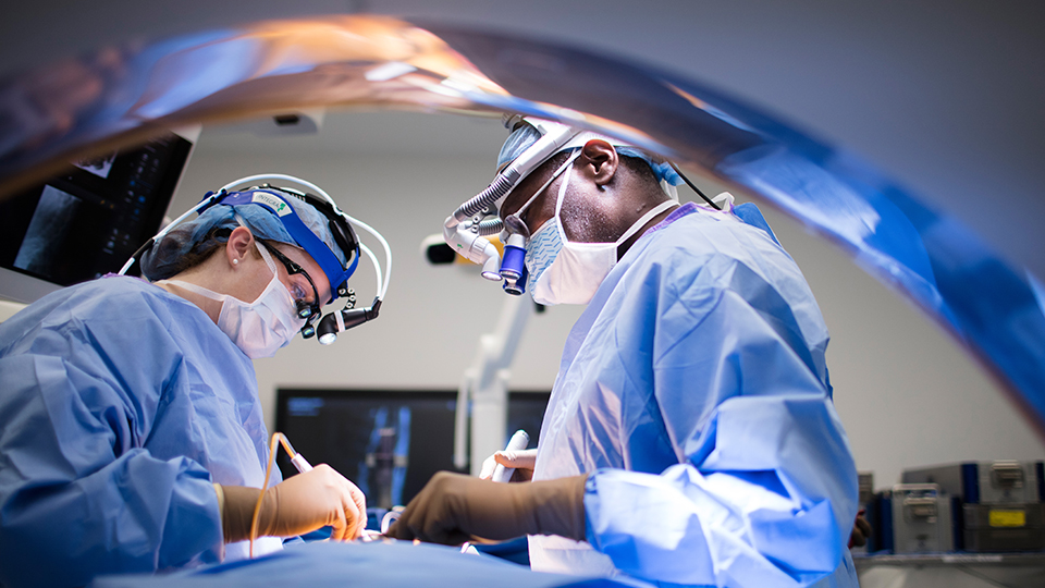 Two Surgeons Perform Neurosurgery