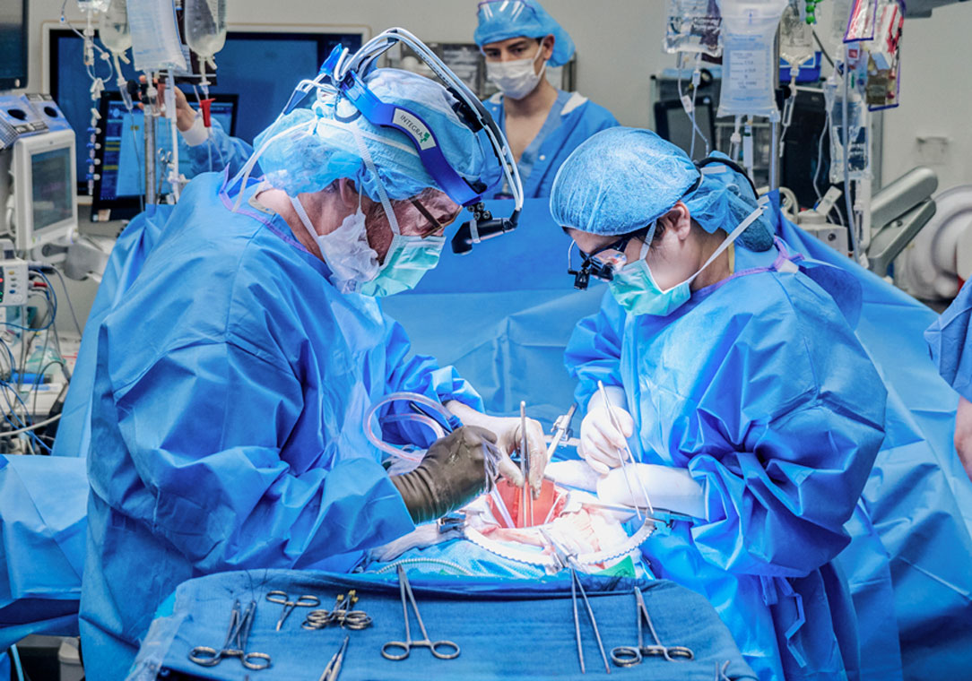 Dr. Robert Montgomery and team performing xenotransplant surgery in equipment-filled operating room.