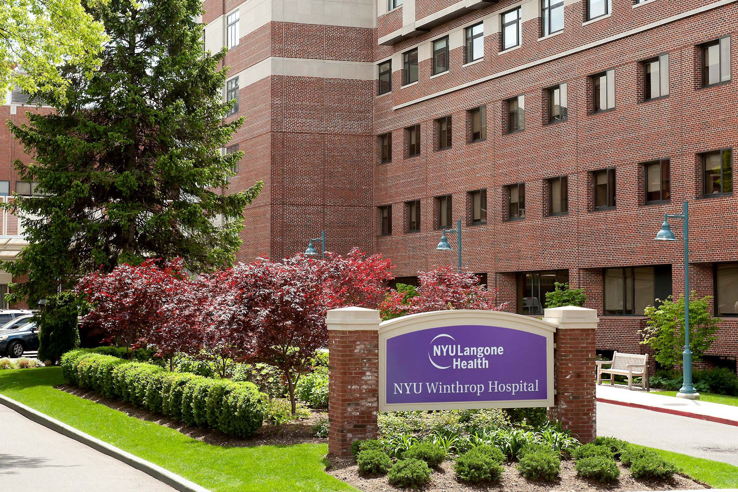 NYU Winthrop Physician Earns Prestigious Appointment to National Women's  Health Organization | NYU Langone News