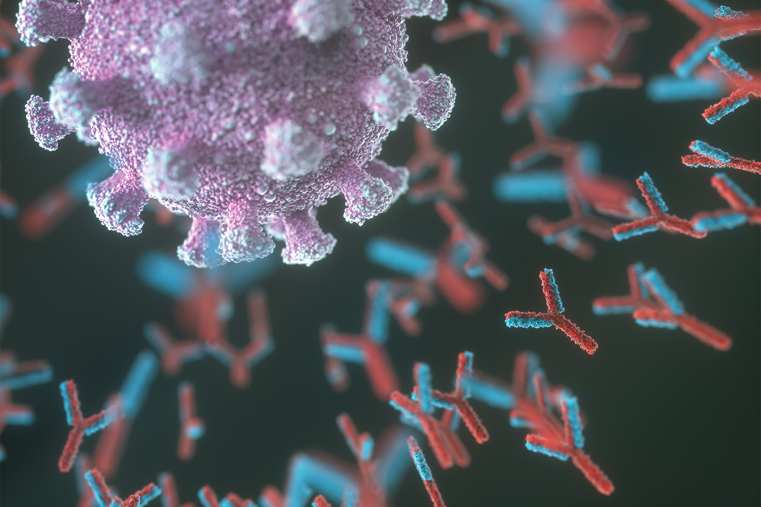 Majority of Lupus Patients with COVID19 Produce & Maintain Antibody