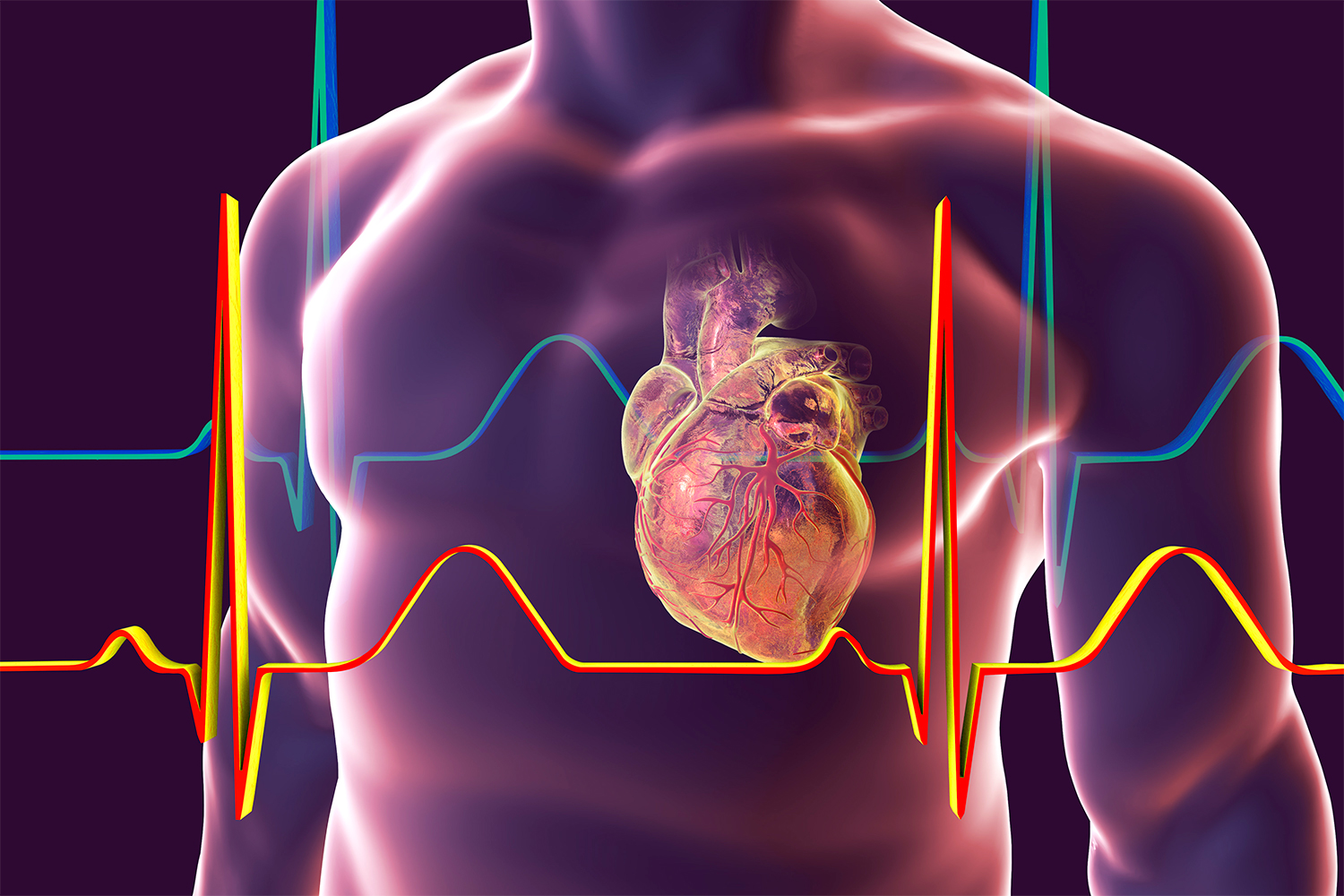 Science Insider’s ‘Debunked’: Cardiologists Break Down The Truth To ...