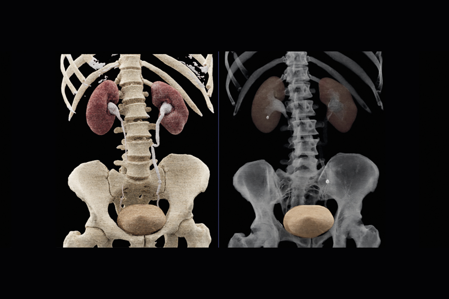 your-radiologist-is-the-most-important-doctor-you-ve-never-met-until