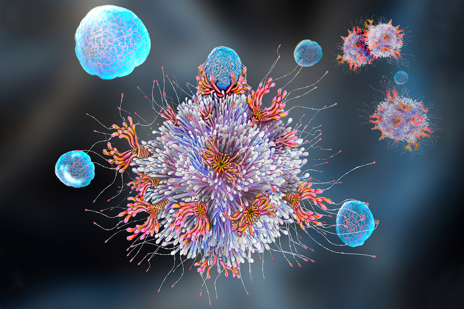 Experimental Treatment Approach Counters Allergic Asthma Without Weakening  Flu Defenses | NYU Langone News