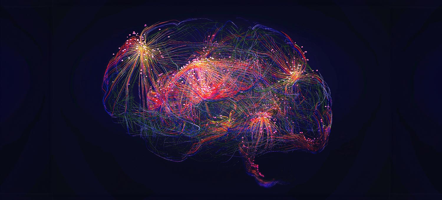 Artificial Intelligence Tool Detects Sex-Related Differences in Brain  Structure | NYU Langone News