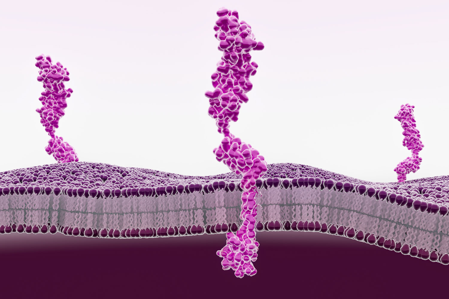 Compound Reduces Diabetic Tissue Damage