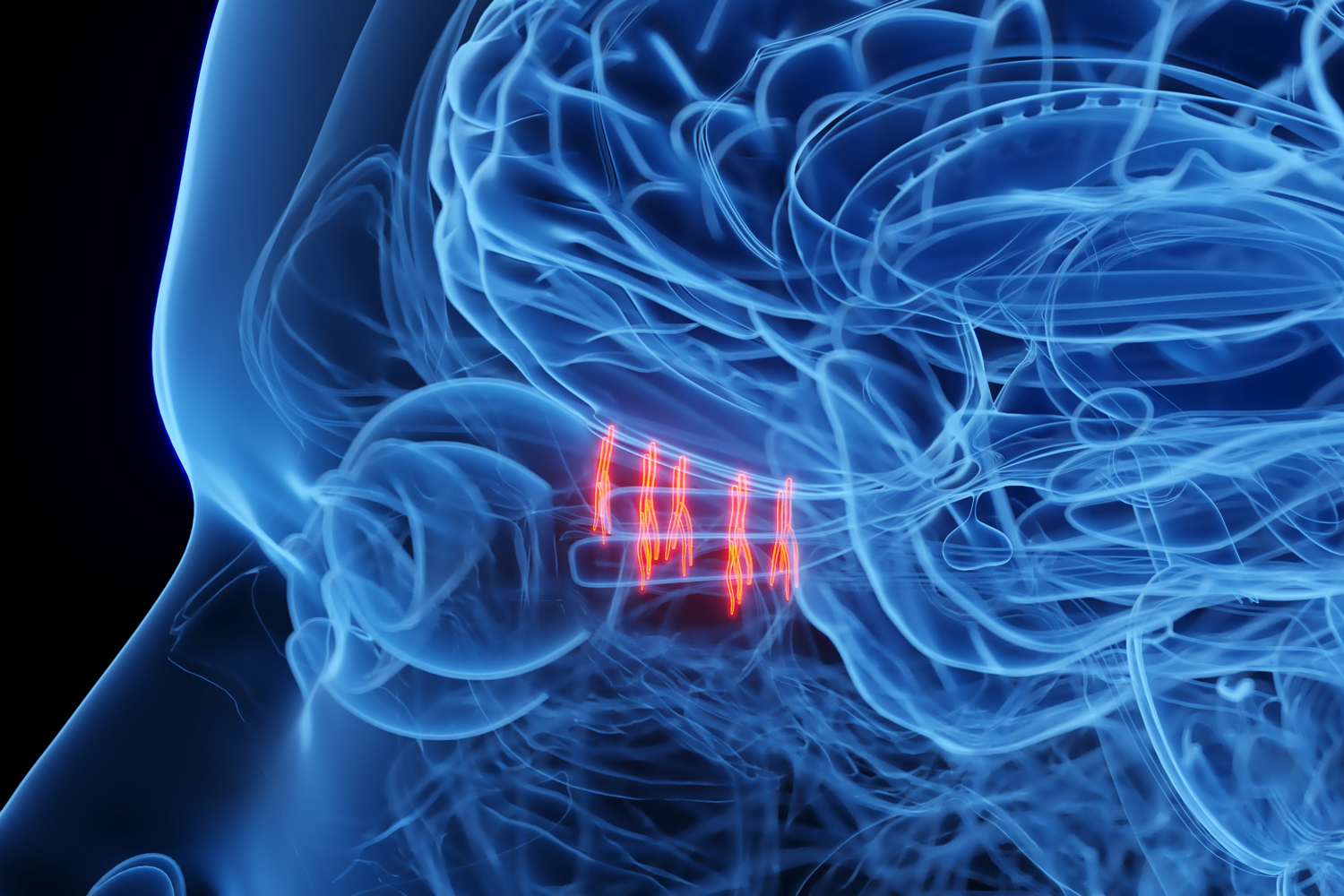 Study Reveals How Mice Can Quickly Identify Odors