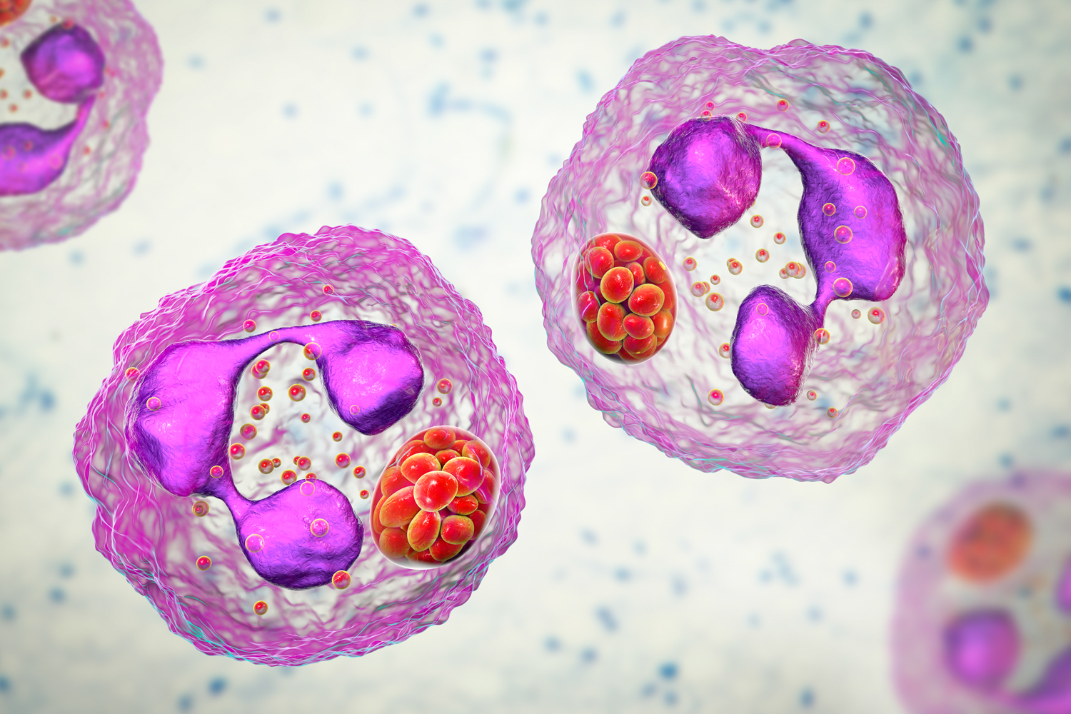 Early Immune Changes May Signal Increased Risk of Alzheimer’s &amp; Dementia