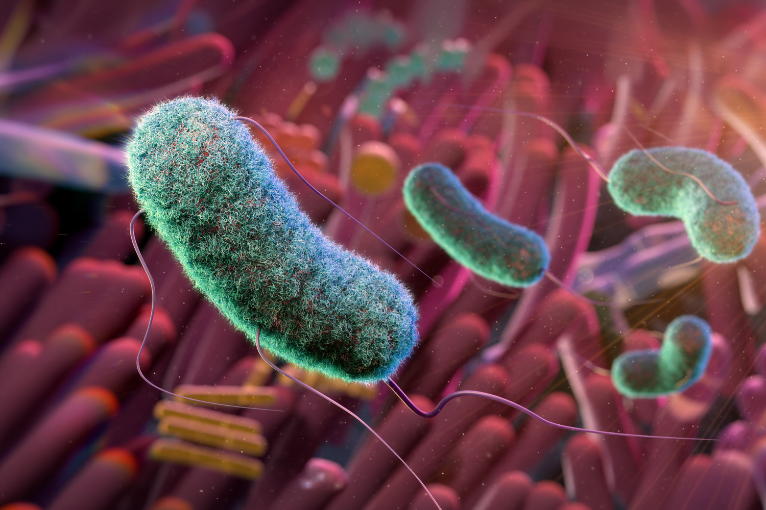 Gut Bacteria Predict Skin Cancer Recurrence, but Only When Matched for ‘Microbial Fingerprint’