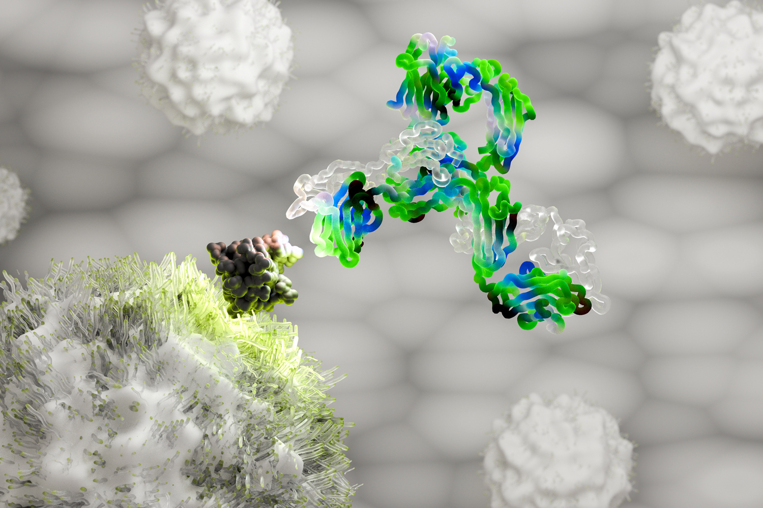 Immunotherapy Shows Early Promise in Sparing Cancer Patients From Bladder Removal