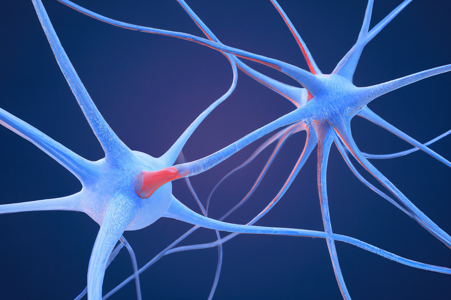 Newfound &lsquo;Switchboard&rsquo; Helps the Brain Form New Memories Without Forgetting Older Ones