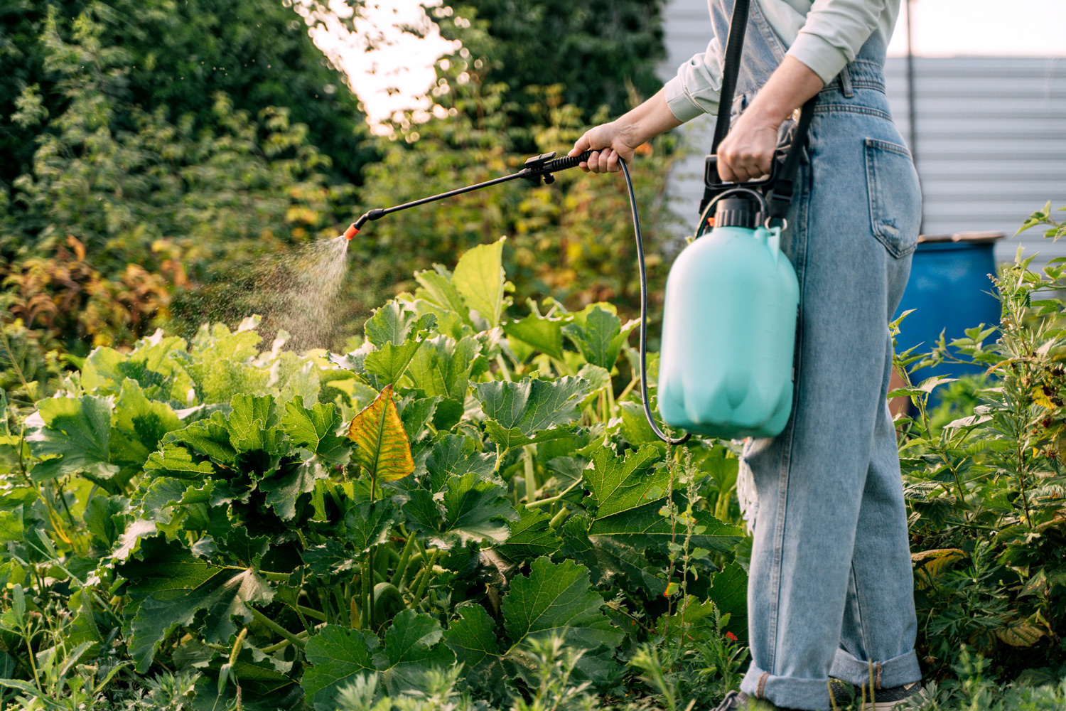 Researchers Find No Connection Between Pesticide Exposure and Social Difficulties Common in Autism