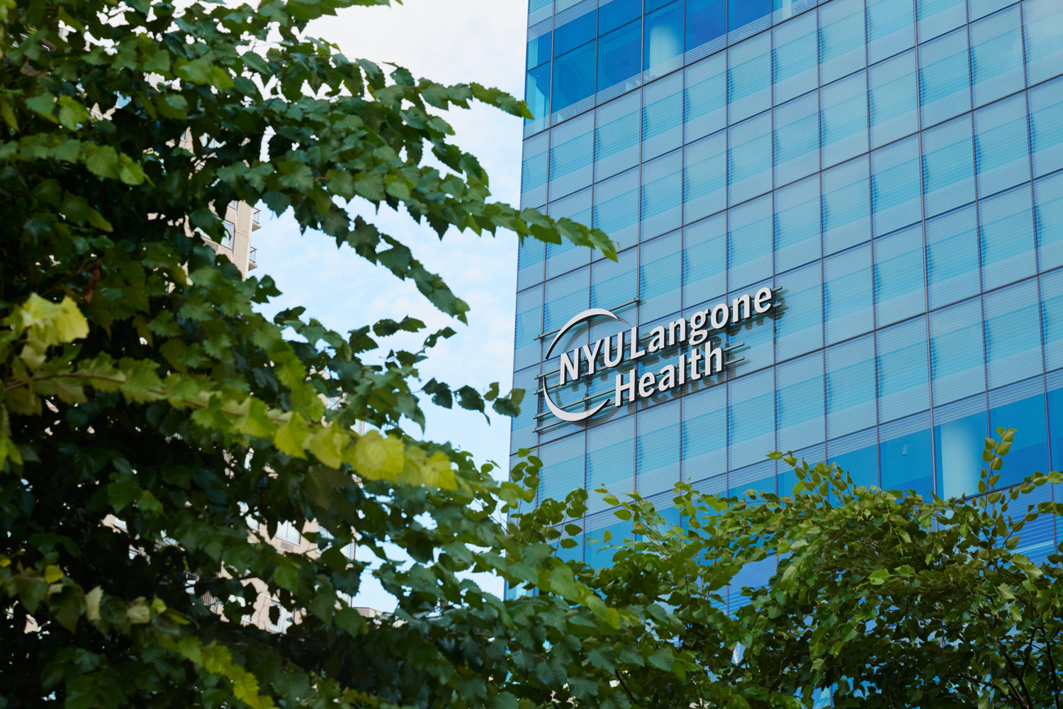 NYU Langone Health Stroke Programs Earn Top National Honors From American Heart Association