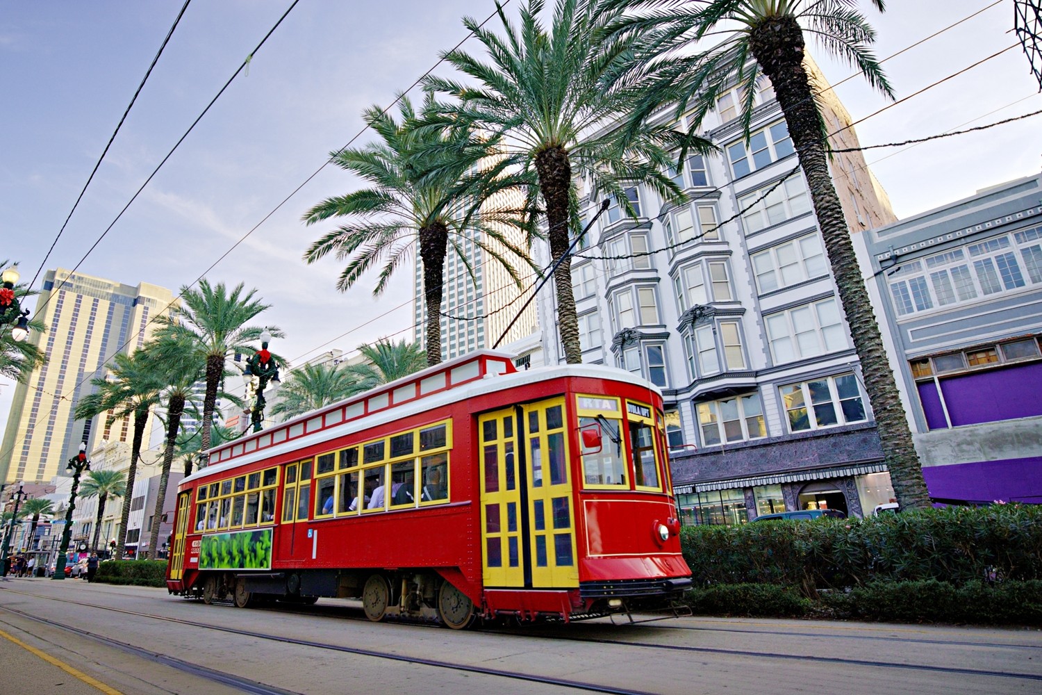 NYU Langone Health Ophthalmology Faculty Present Advances in Eye Care at AAO 2026