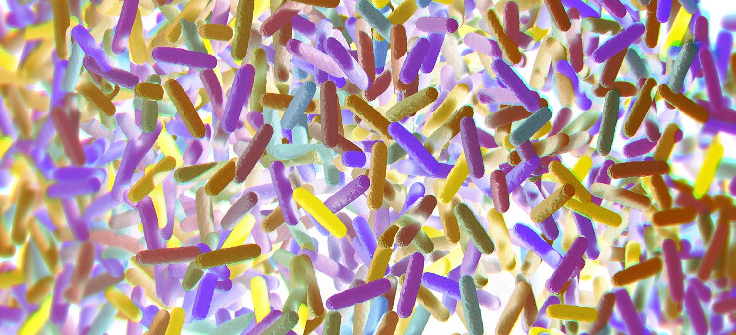 A three-dimensional representation of gut bacteria microbiome.