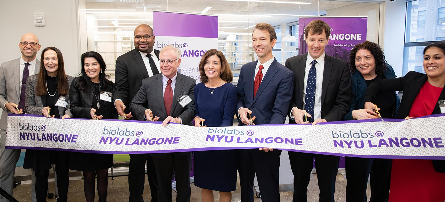 NYU Langone Creates Cutting-Edge Biotech ‘Incubator’ In Manhattan | NYU ...