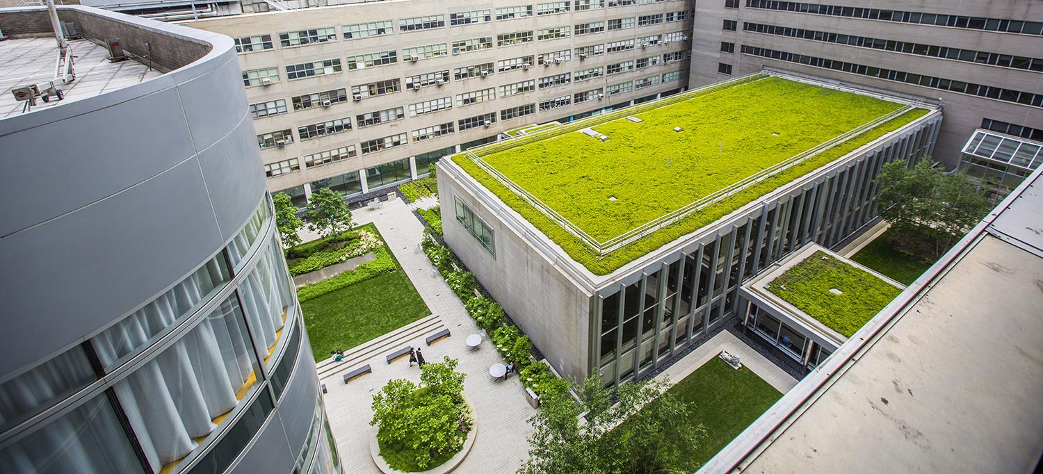 Green Roof at NYU Langone’s Alumni Hall