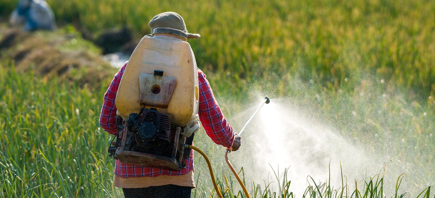 Person Spraying Field with Pesticides