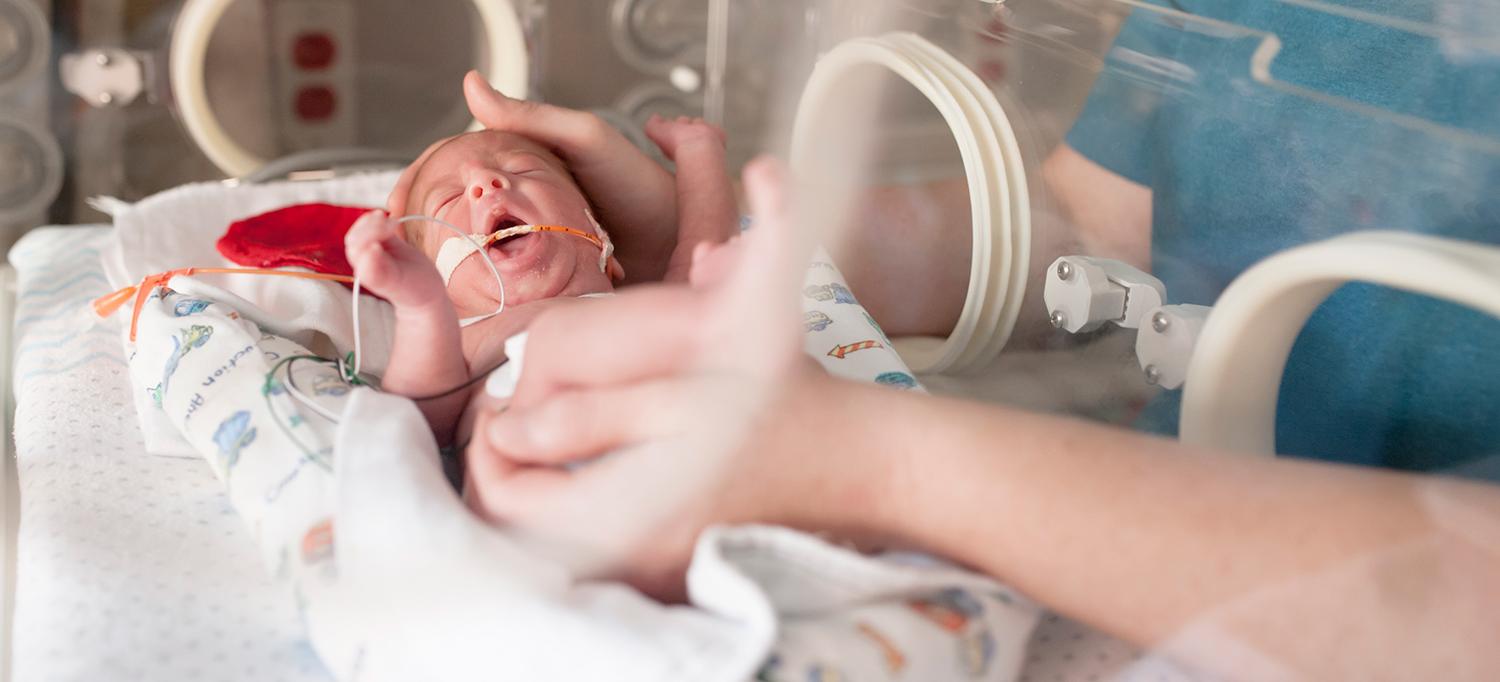 Baby in Incubator Being Cared for By a Nurse