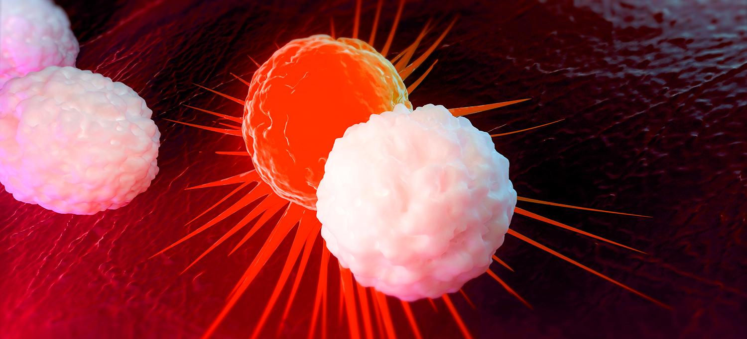 Rendering of White Blood Cells Attacking a Cancerous Cell