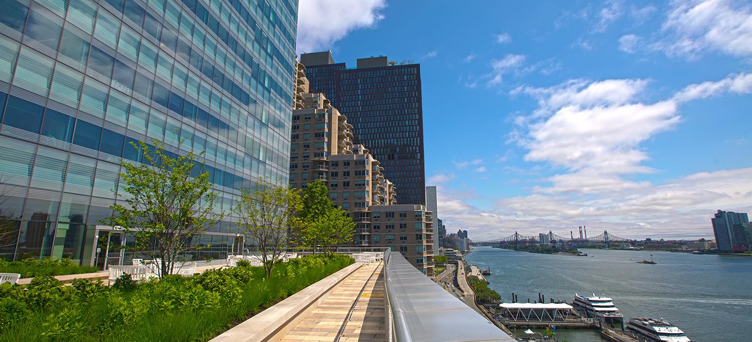 NYU Langone Medical Center and the East River