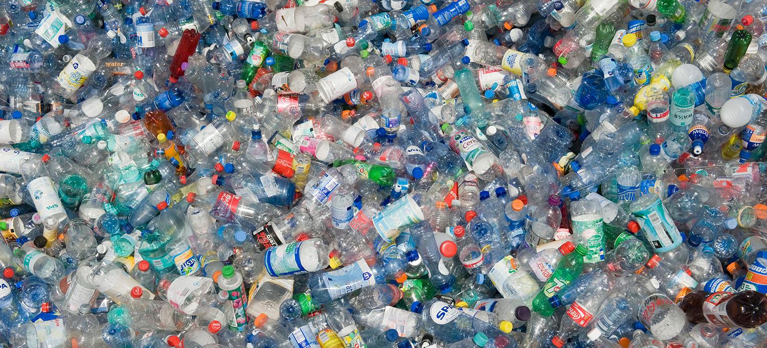 Single-Use Plastic Beverage Bottles