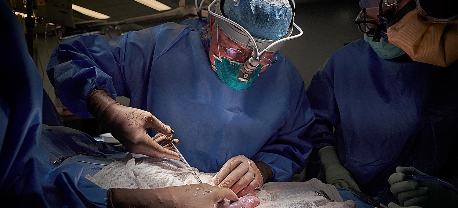 Dr. Robert Montgomery and His Team Performing the Xenotransplantation