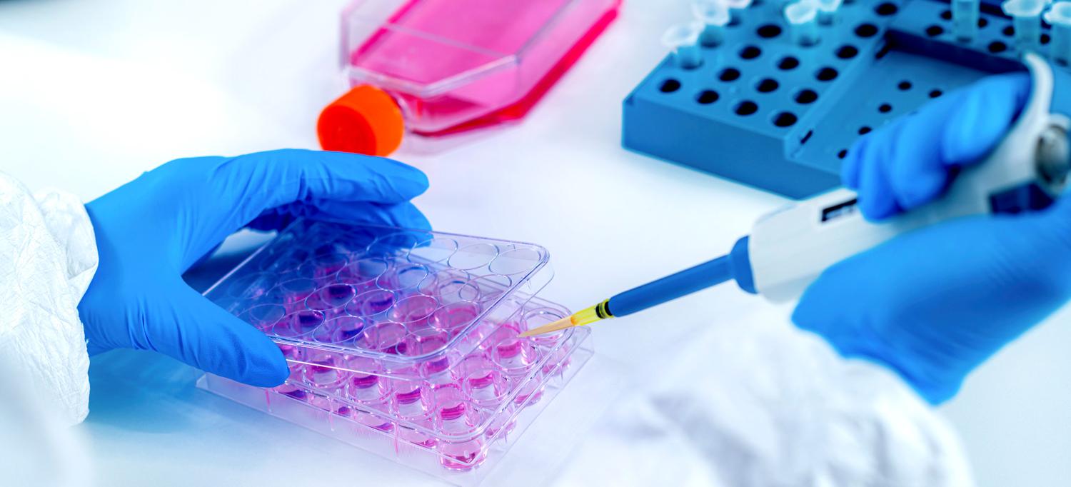 Researcher Uses Pipette in Lab