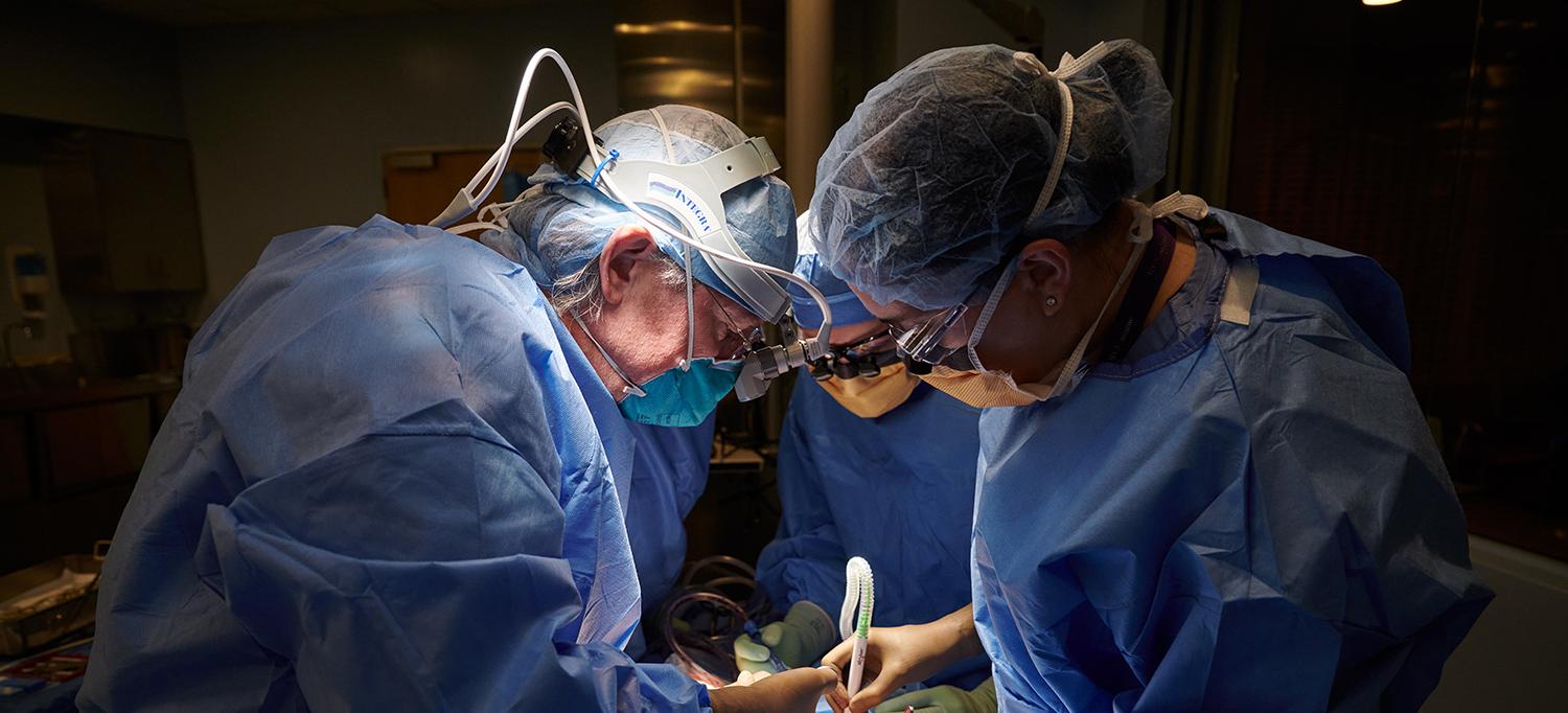 Dr. Robert Montgomery and Team Perform Surgery