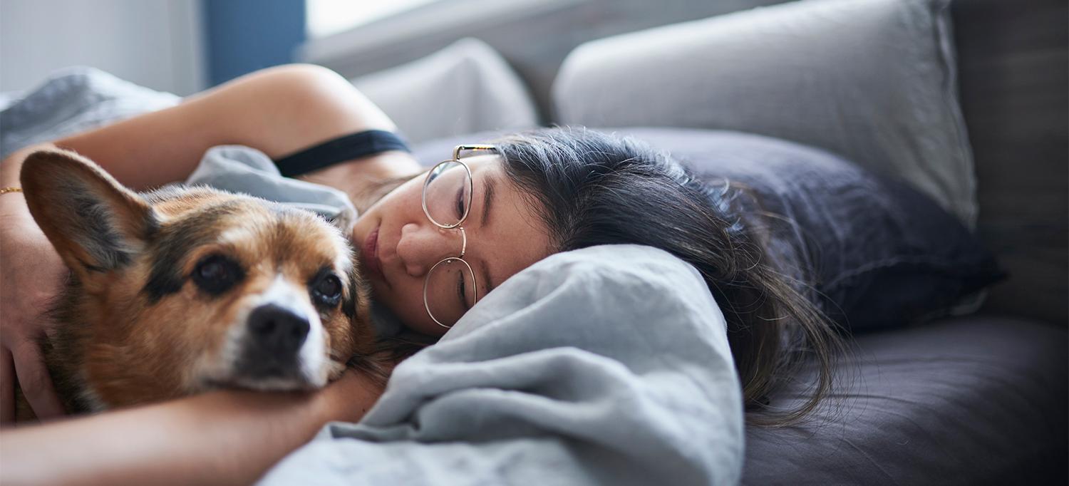 Person Laying in Bed and Cuddling Dog