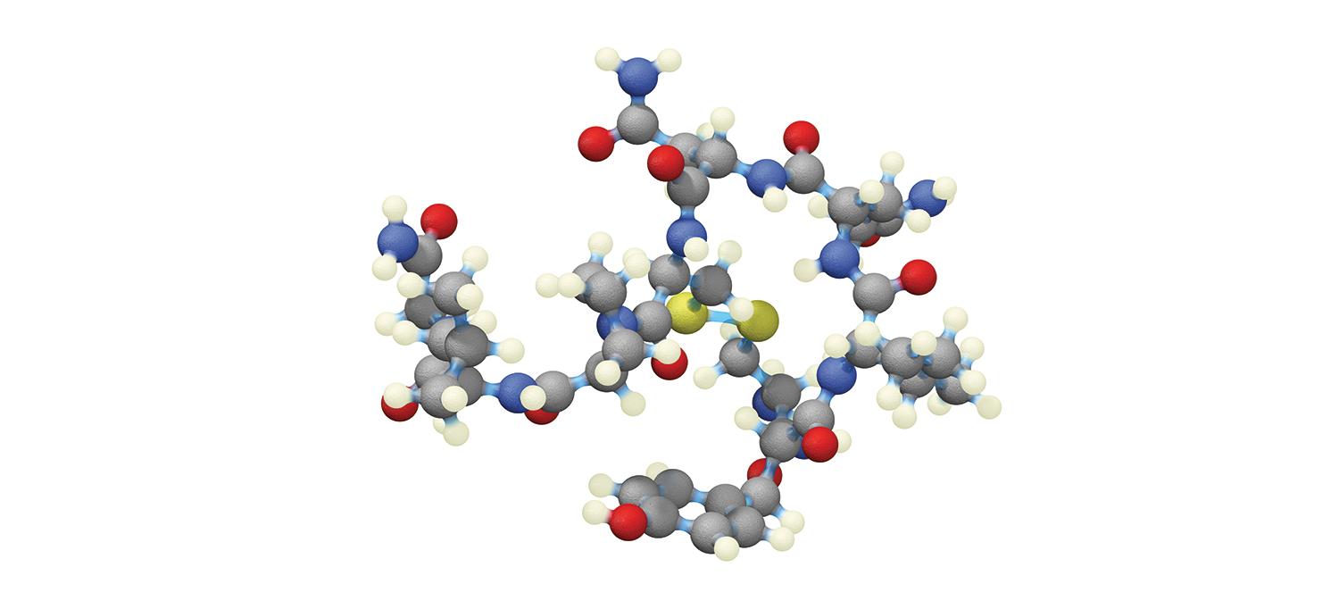 Model of a Molecule of Oxytocin