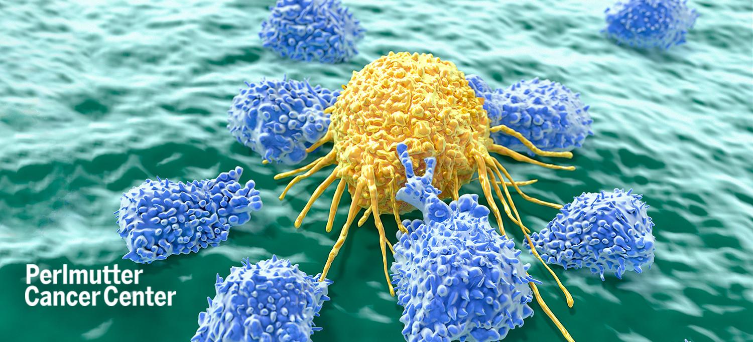 Lymphocytes Attacking a Cancer Cell