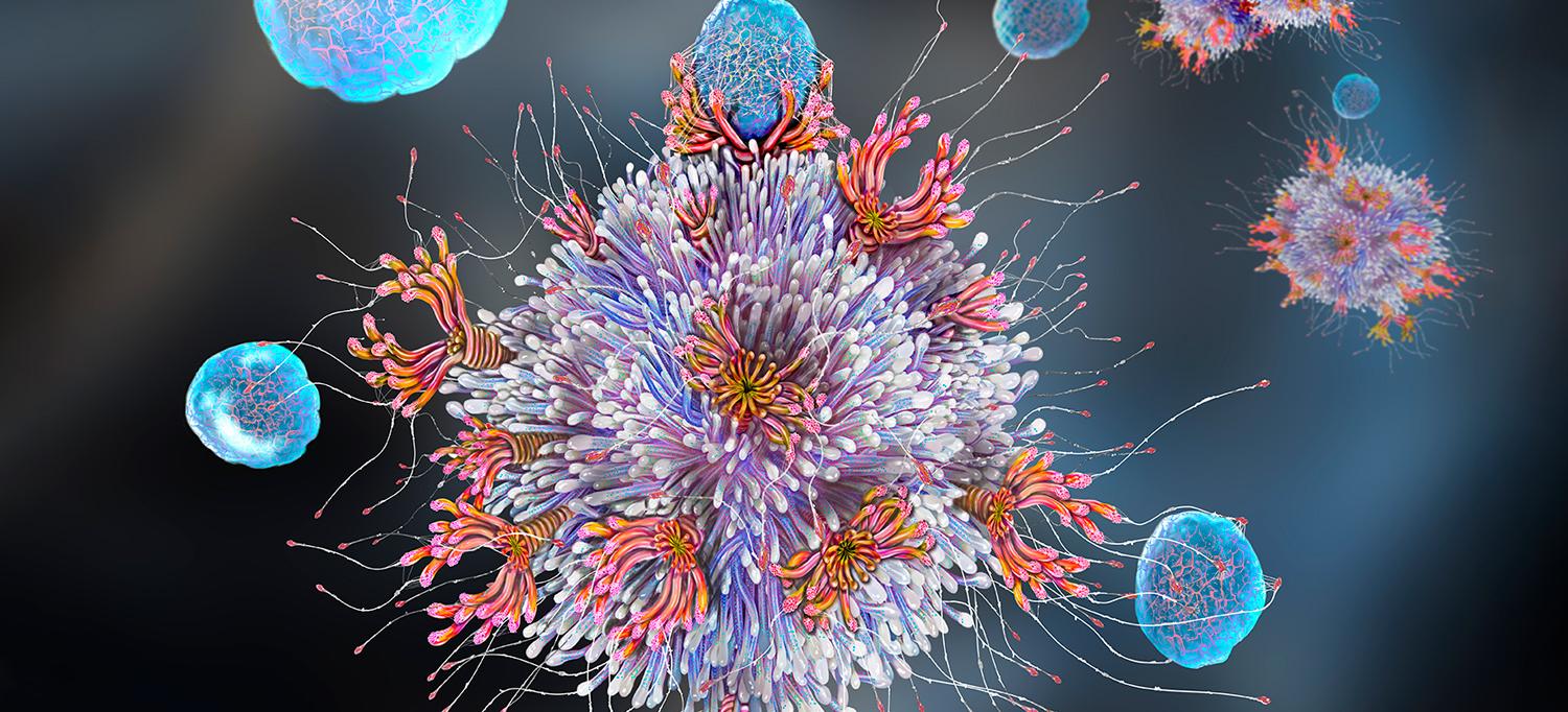 Illustration of T Cell–Binding Antigen