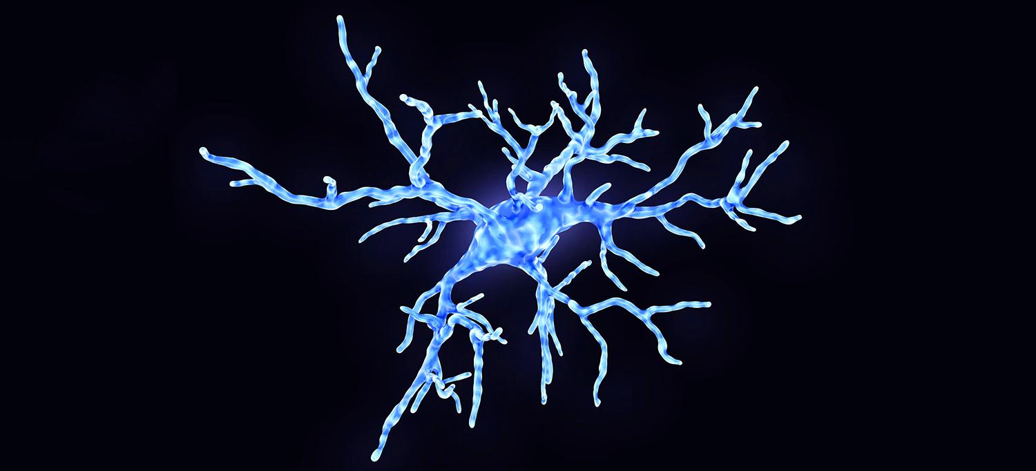 Illustration of Microglial Cell