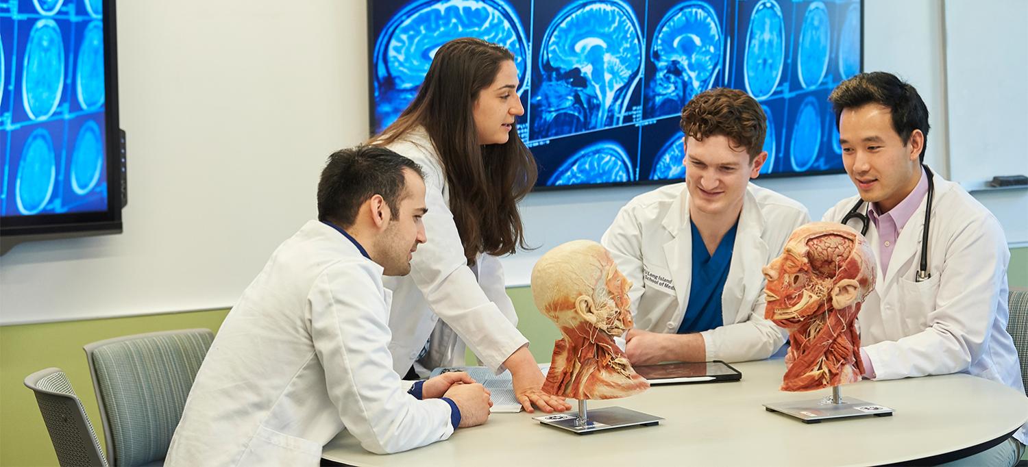 Medical Students Examining Anatomical Head Models