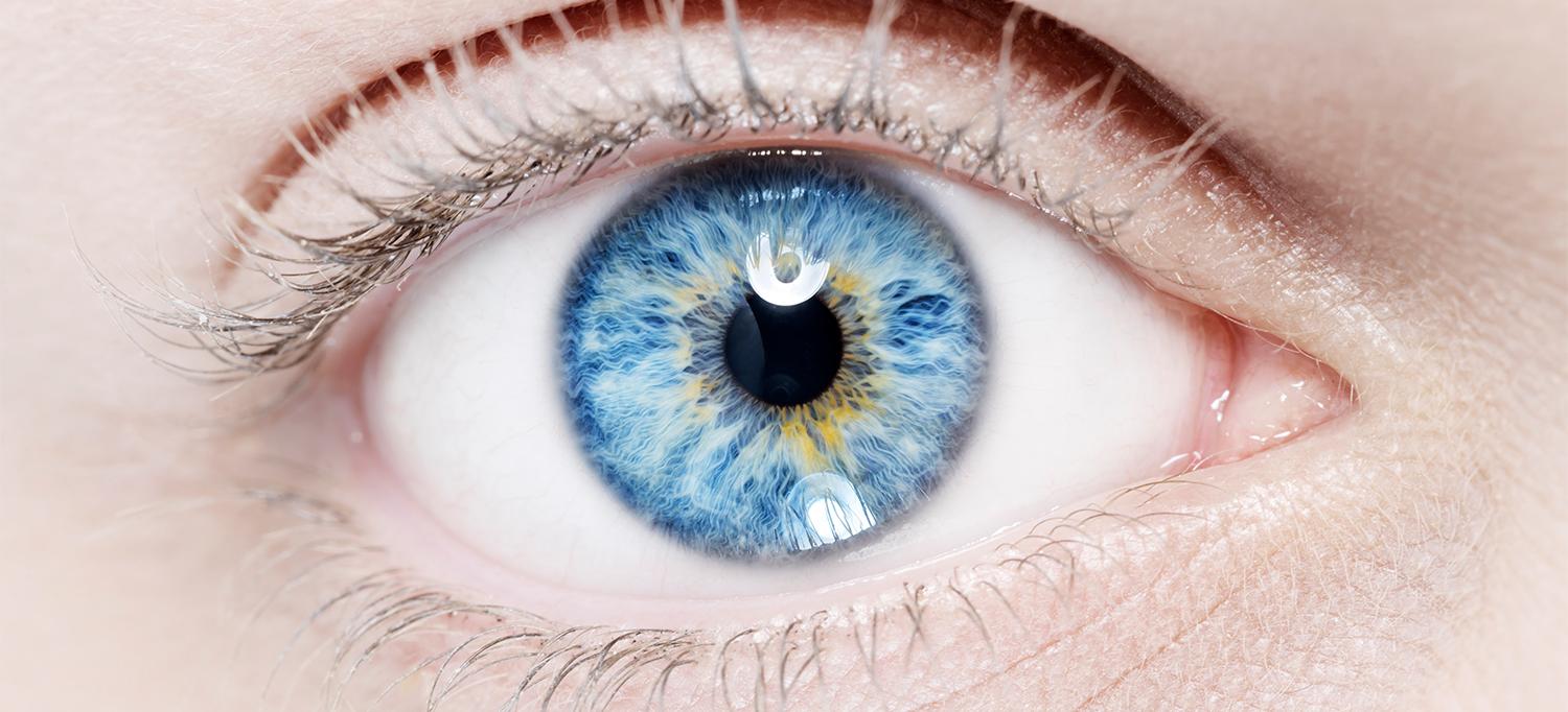 Close-Up View of Human Eye