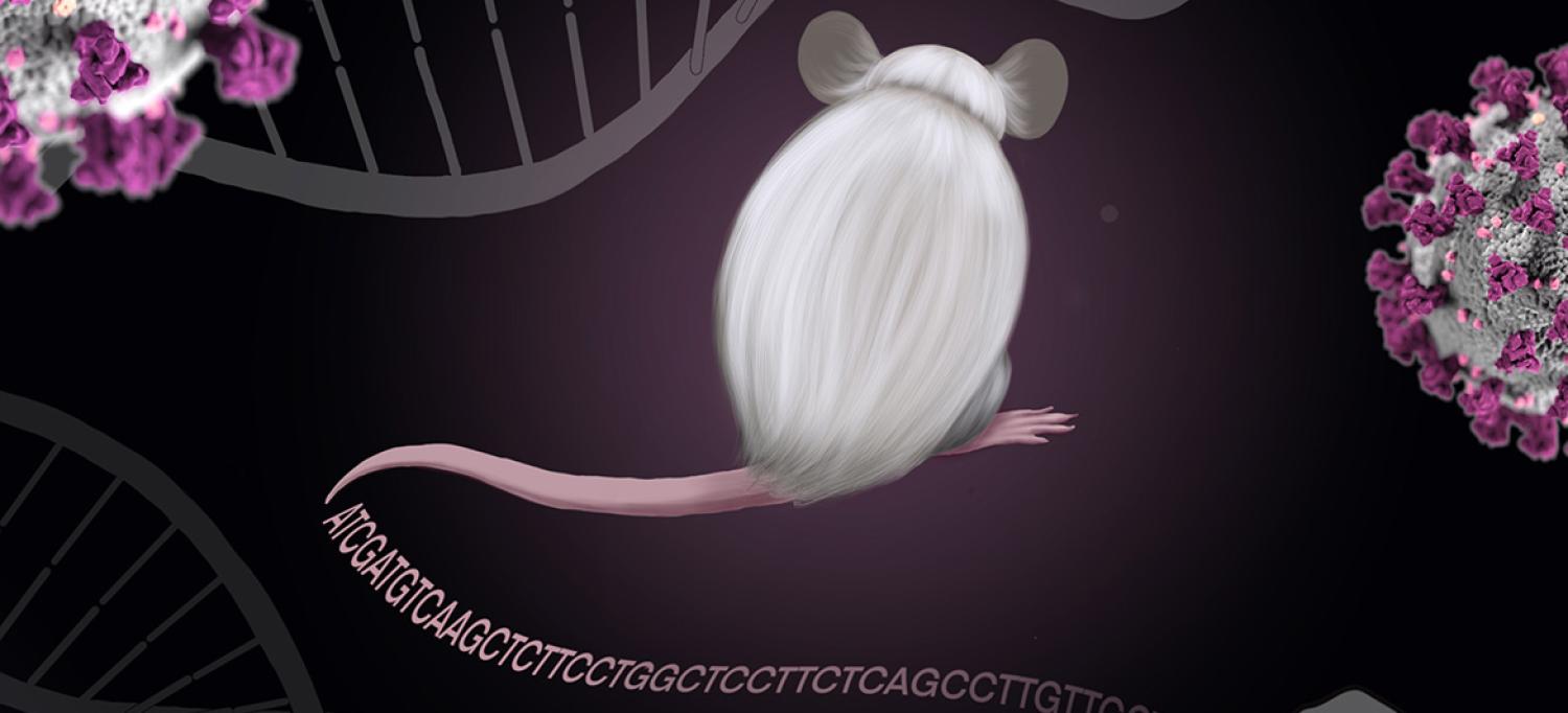 Illustration of COVID-19 molecules, DNA strands, and a mouse with a tail that turns into the nucleotide bases of DNA