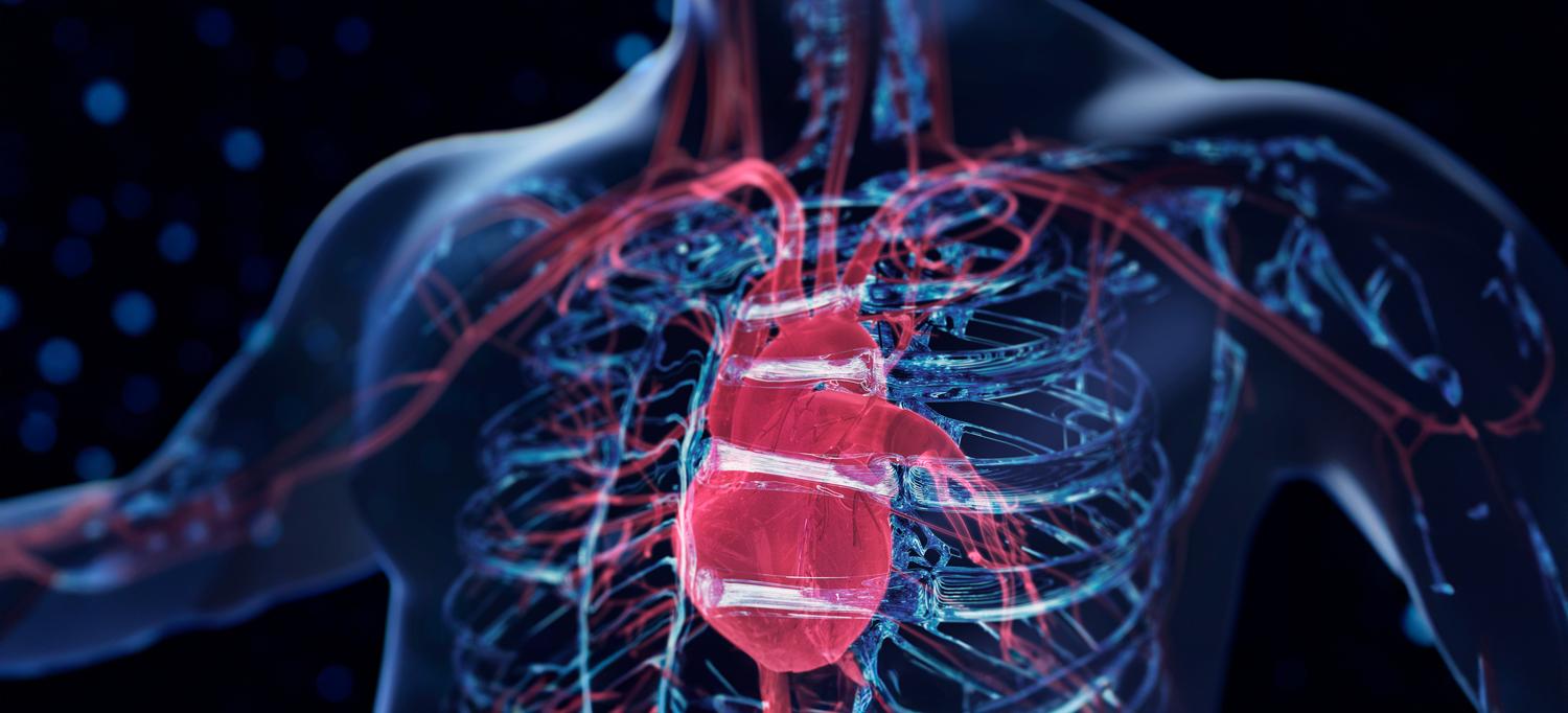 A holographic blue image of a human body and a close-up of a red heart.