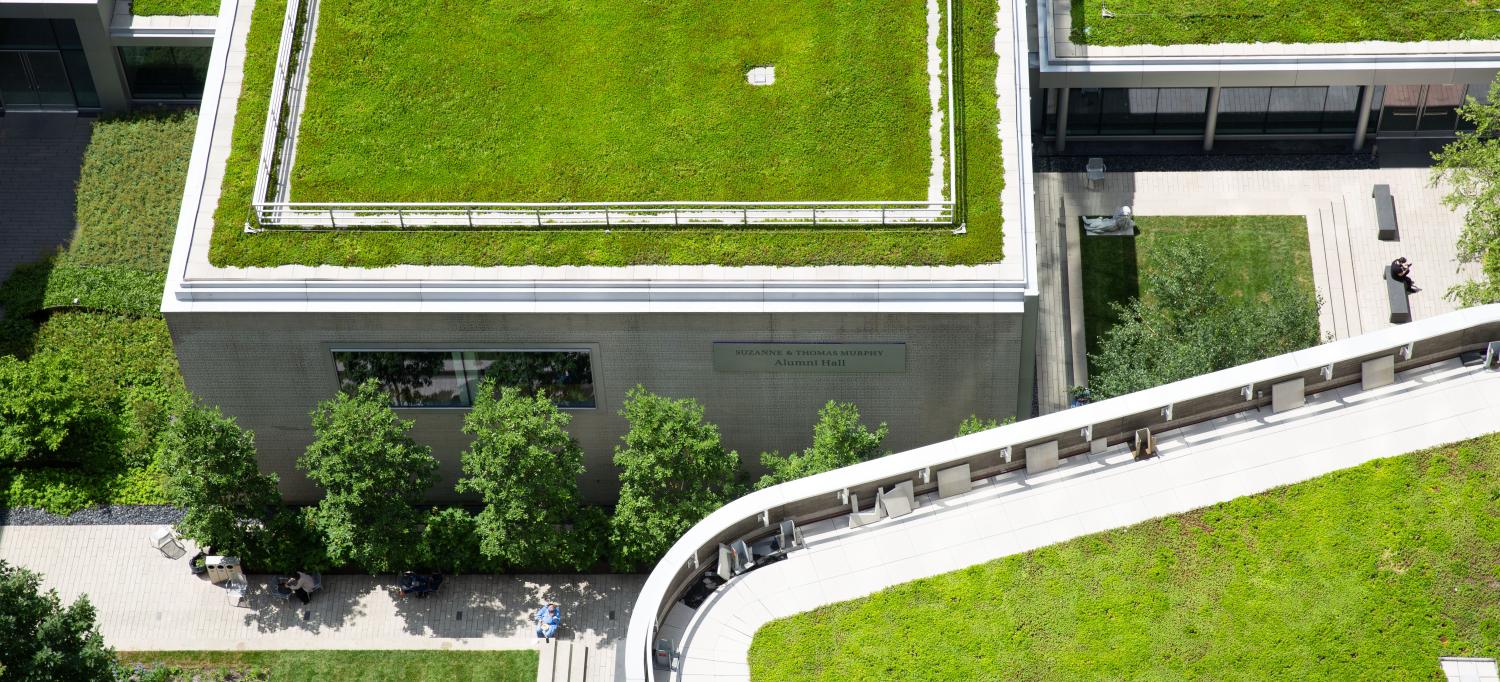 Roofs of buildings, covered in vegetation.