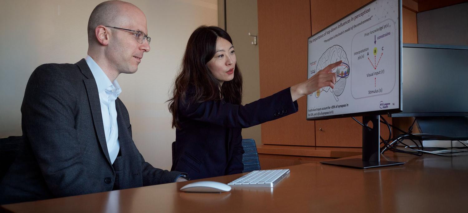 Dr. Oermann and Dr. He look at a drawing of the brain on a monitor. 
