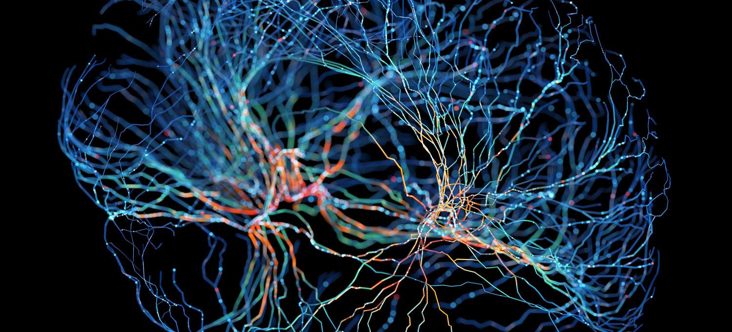 System of neurons with glowing connections on black background