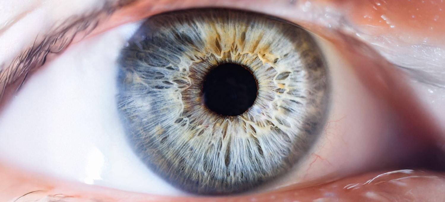 A closeup of an eyeball